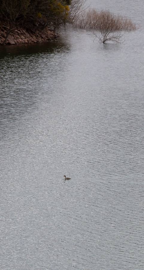 Fotos: Estado del pantano de Mansilla y sus alrededores