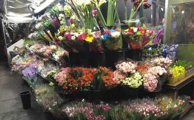 Las flores de amor y las floristerías