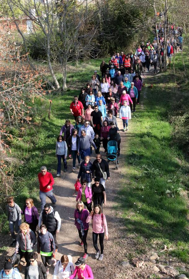 Organizados por la Consejería de Salud, que ha transcurrido por la pasarela nueva sobre el Iregua, con un recorrido de 8,8 kilómetros