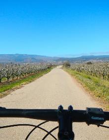 Imagen secundaria 2 - Paso de las Dos Tetas, guadaviñas en el Camino de los Judíos y frutales en el término de Entrena. 