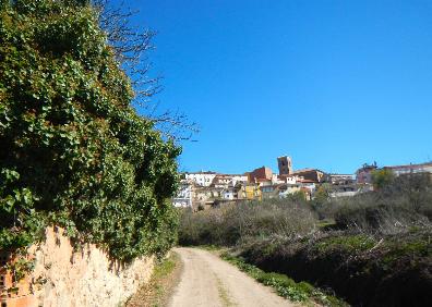 Imagen secundaria 1 - Vista de Daroca y la sierra de Moncalvillo, subida a Entrena e iglesia de Hornos. 