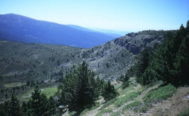 Imagen del Parque Natural de Cebollera.