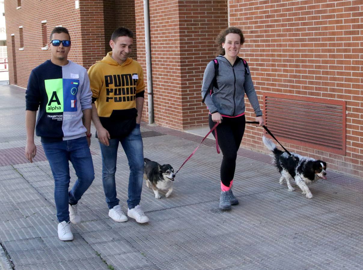 Fotos: Paseo Saludable por el barrio de Madre de Dios y San José de Logroño