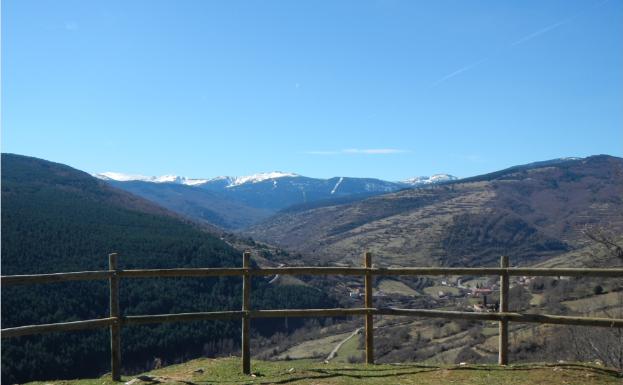 Imagen principal - Vista de Cebollera desde el camino de Ortigosa y dos tramos del mismo camino uno con pinos y otro con hayas 