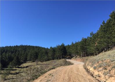 Imagen secundaria 1 - Camino tras pasar Clavijo, primeros pinos y tramo de senda en el Corro del Cura 