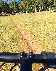 Imagen secundaria 2 - Camino tras pasar Clavijo, primeros pinos y tramo de senda en el Corro del Cura 