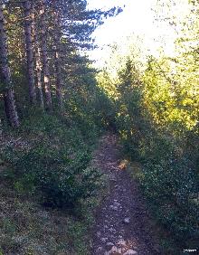 Imagen secundaria 2 - Senda del Monolito o del Fraile desde Logroño