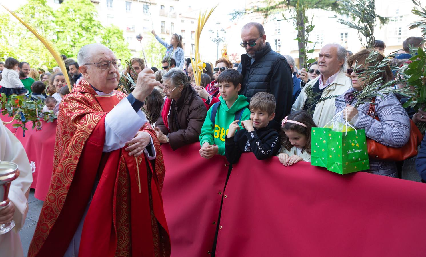 Fotos: La procesión de La Borriquita en Logroño