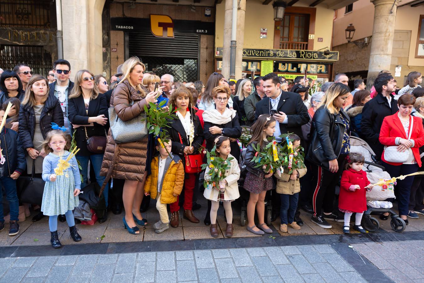 Fotos: La procesión de La Borriquita en Logroño