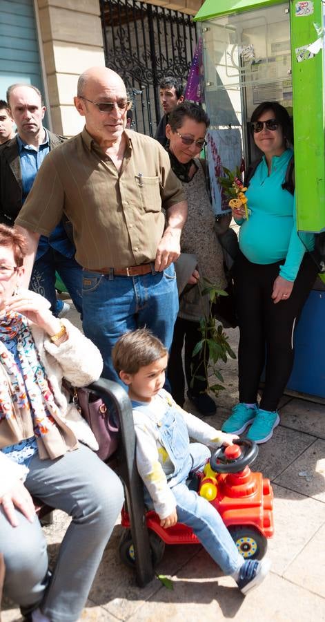 Fotos: La procesión de La Borriquita en Logroño