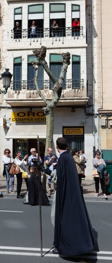 Fotos: La procesión de La Borriquita en Logroño