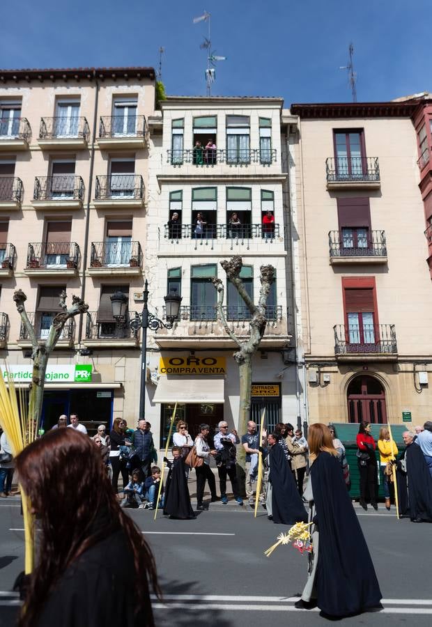 Fotos: La procesión de La Borriquita en Logroño