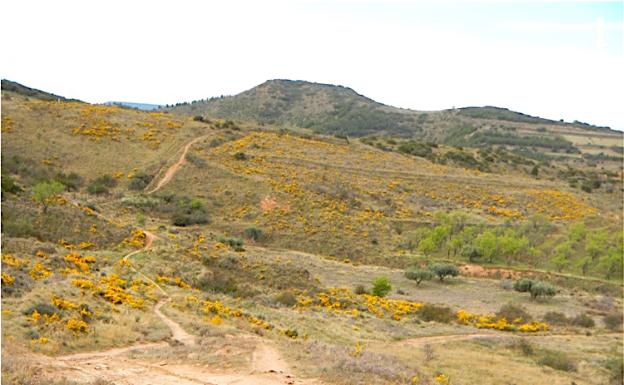 Imagen principal - Senderos bajo el Pico del Águila, camino de los Judíos y camino de la Cruz del Muerto, cerca de Daroca 