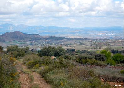 Imagen secundaria 1 - Plaza de Sojuela, vistas desde La Cabañera y sendero junto a Prado Salobre 