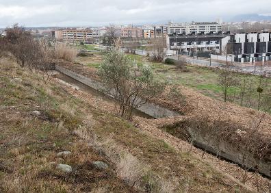 Imagen secundaria 1 - Estado en el que quedó el estanque tras su desbroce y del que se hizo eco este periódico en febrero del 2018. 