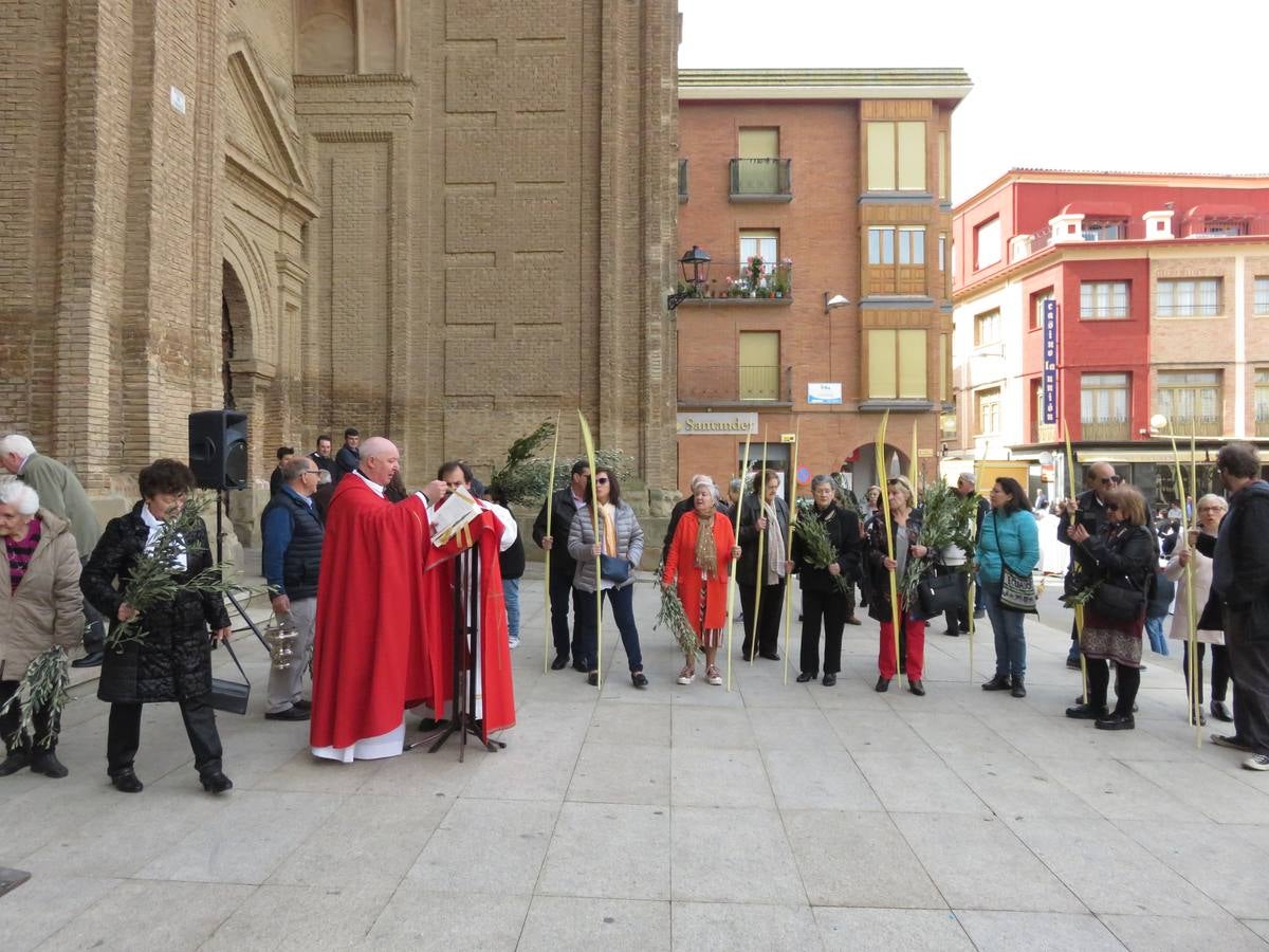 Fotos: El Domingo de Ramos en Alfaro, Arnedo, Cervera, Haro, Nájera y Santo Domingo