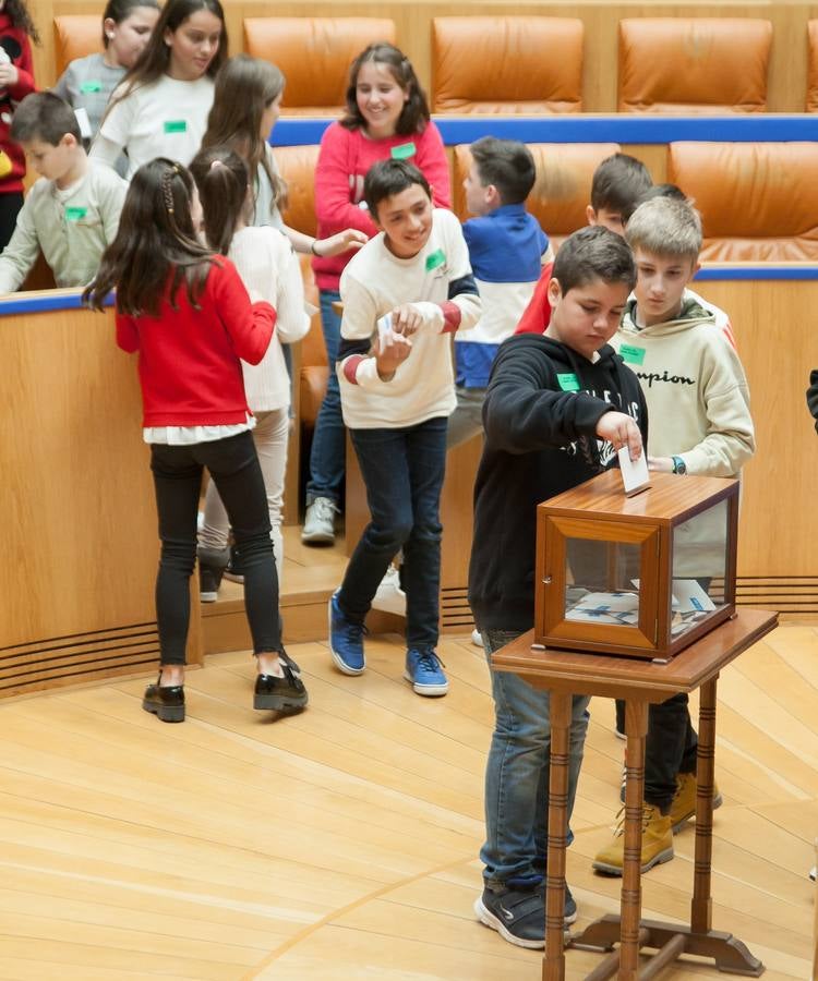 Aldeas Infantiles pide «políticas concretas» contra la pobreza infantil | El Parlamento riojano ha acogido un pleno infantil con la asistencia del vicepresidente de esta ONG, Javier Fresneda