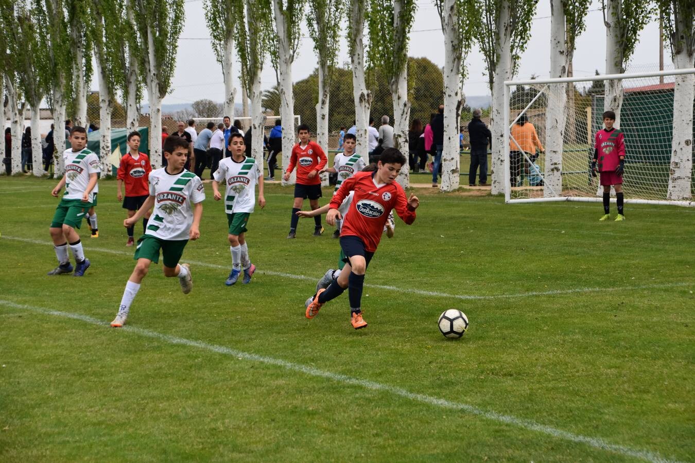 segunda y última jornada del XXIV torneo de fútbol base Juventud Calahorra.