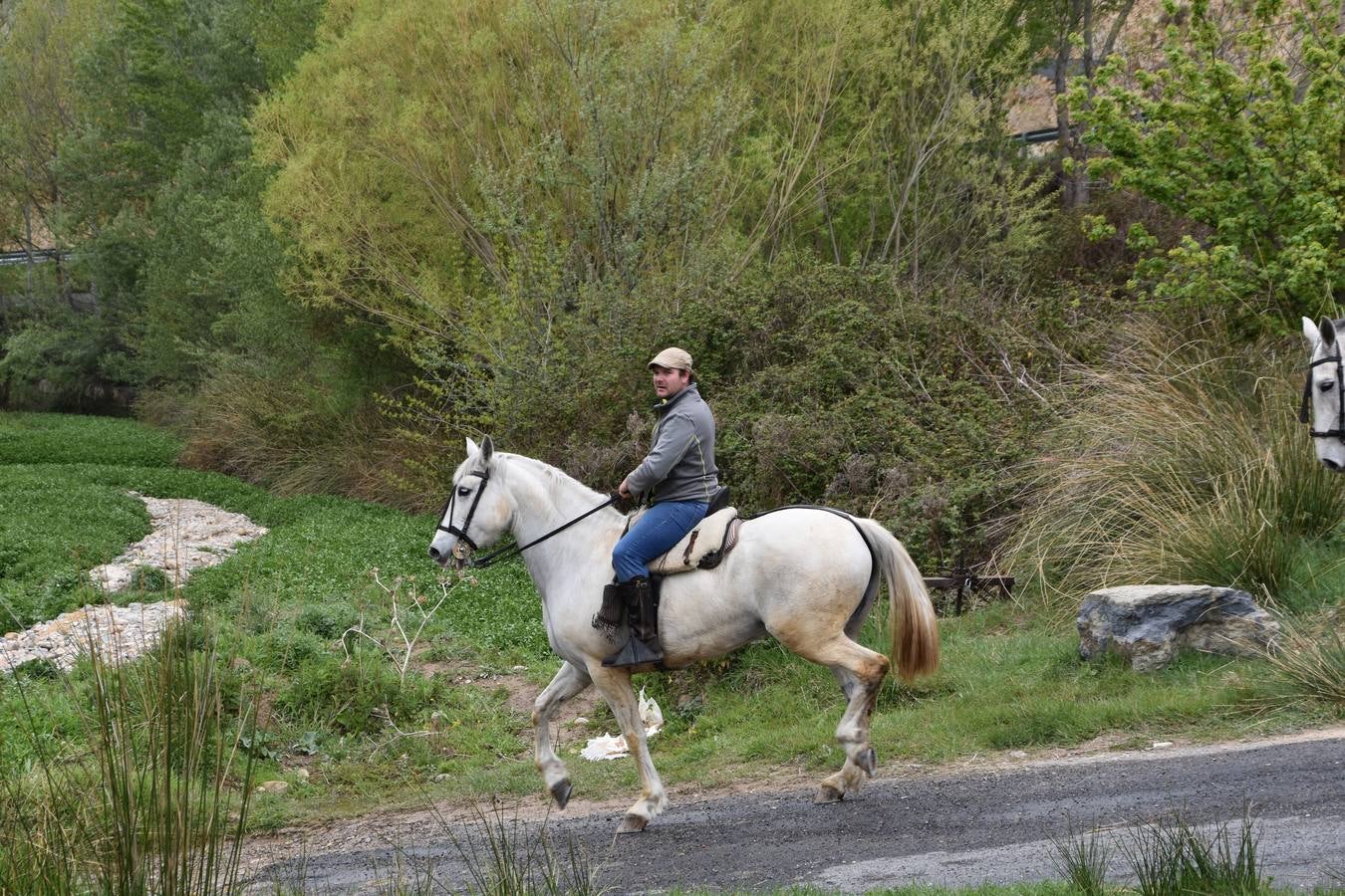 Fotos: Celebración del día de Clunia en Cervera