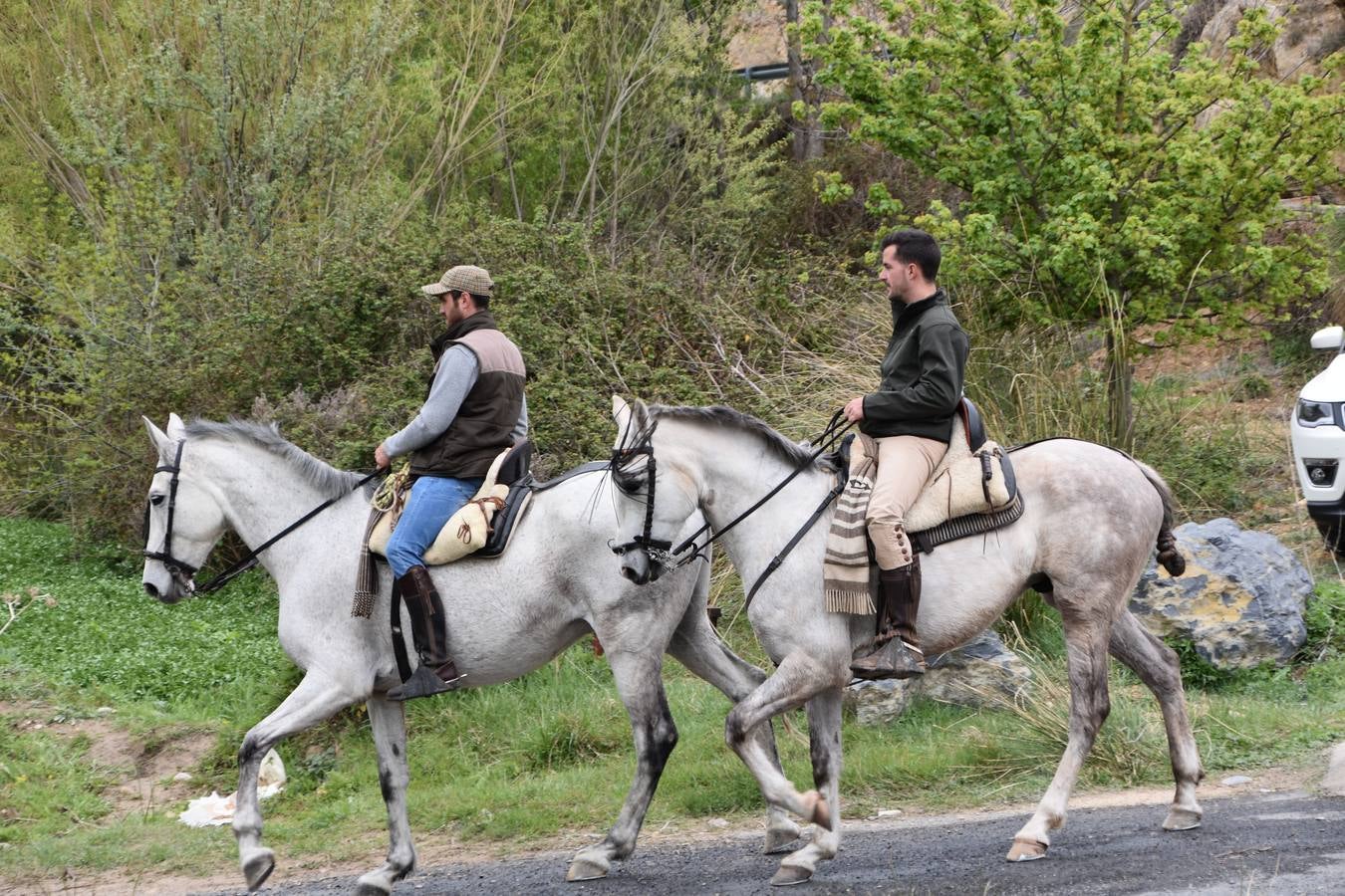 Fotos: Celebración del día de Clunia en Cervera