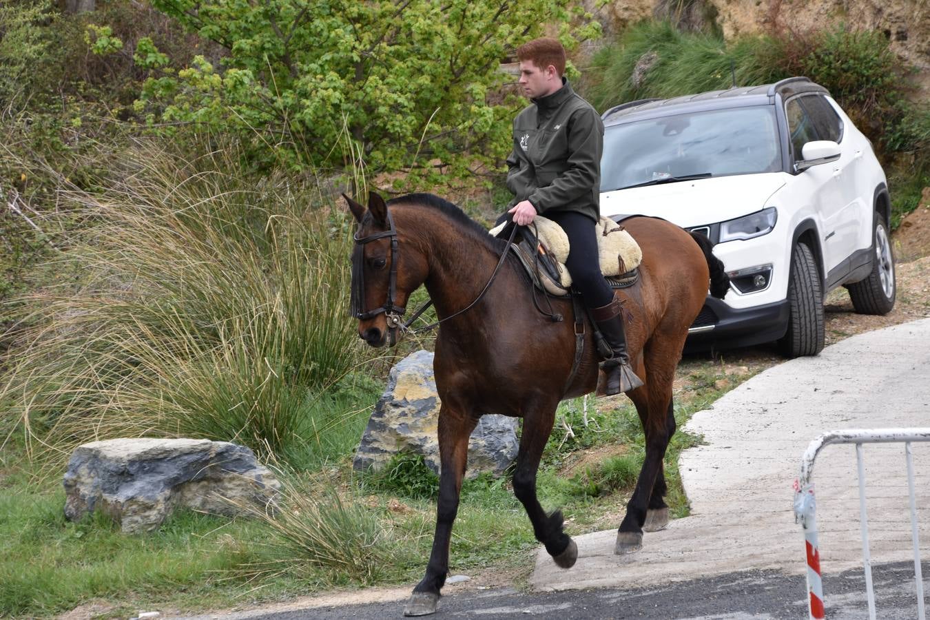 Fotos: Celebración del día de Clunia en Cervera