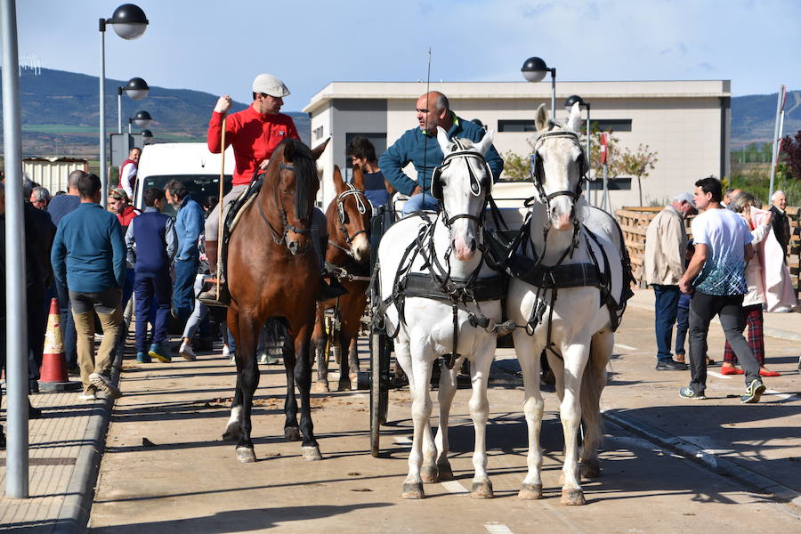 Ceniceros felicita a los rinconeros por mantener la celebración de la Feria de Ganado Equino hasta nuestros días