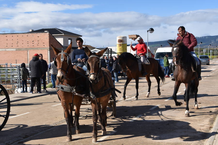 Ceniceros felicita a los rinconeros por mantener la celebración de la Feria de Ganado Equino hasta nuestros días