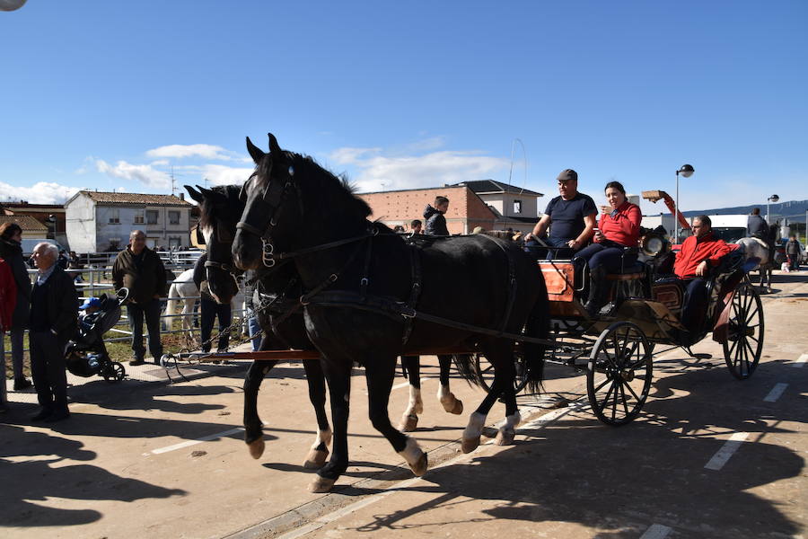 Ceniceros felicita a los rinconeros por mantener la celebración de la Feria de Ganado Equino hasta nuestros días