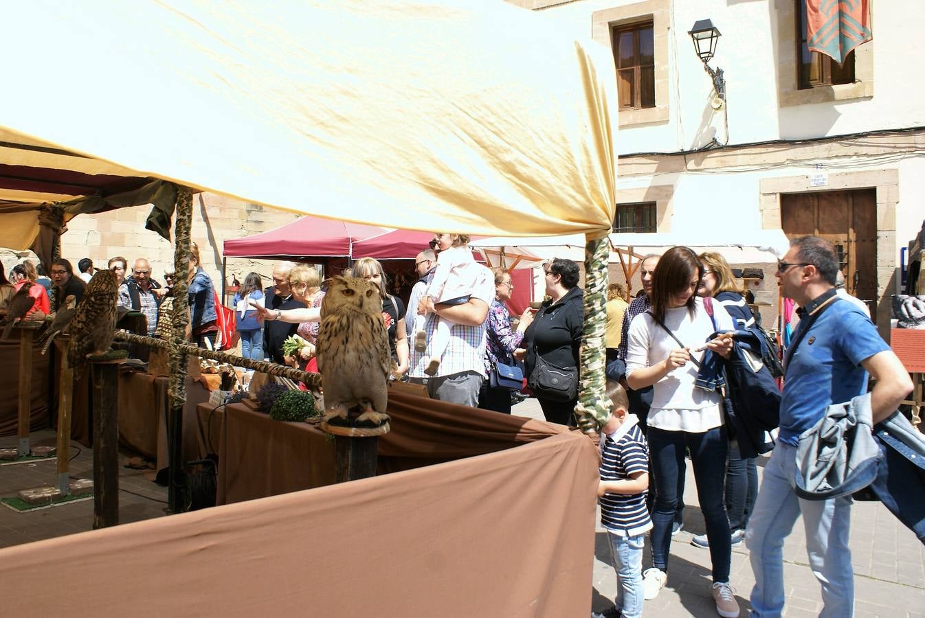 Fotos: Pregón del Primero de mayo y la aclamación de Fernando III el Santo en Nájera