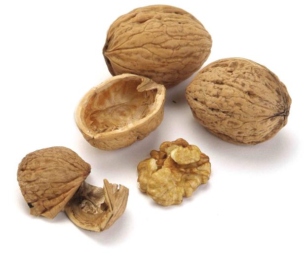 Tiempo de nueces