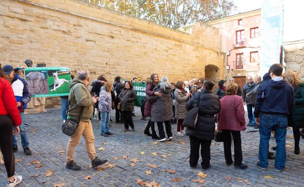 Partidarios de la Ley de Protección Animal se felicitan a las puertas del Parlamento de La Rioja tras la aprobación de la ley, en noviembre del pasado año. 