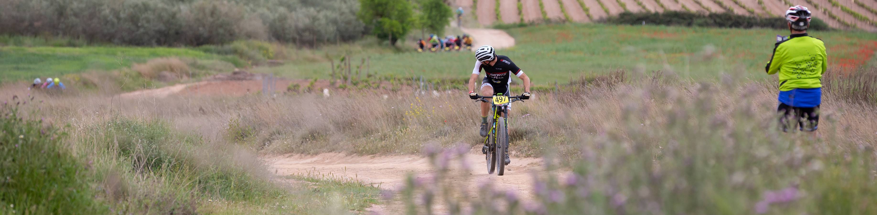 Fotos: Primera etapa de La Rioja Bike Race: La carrera