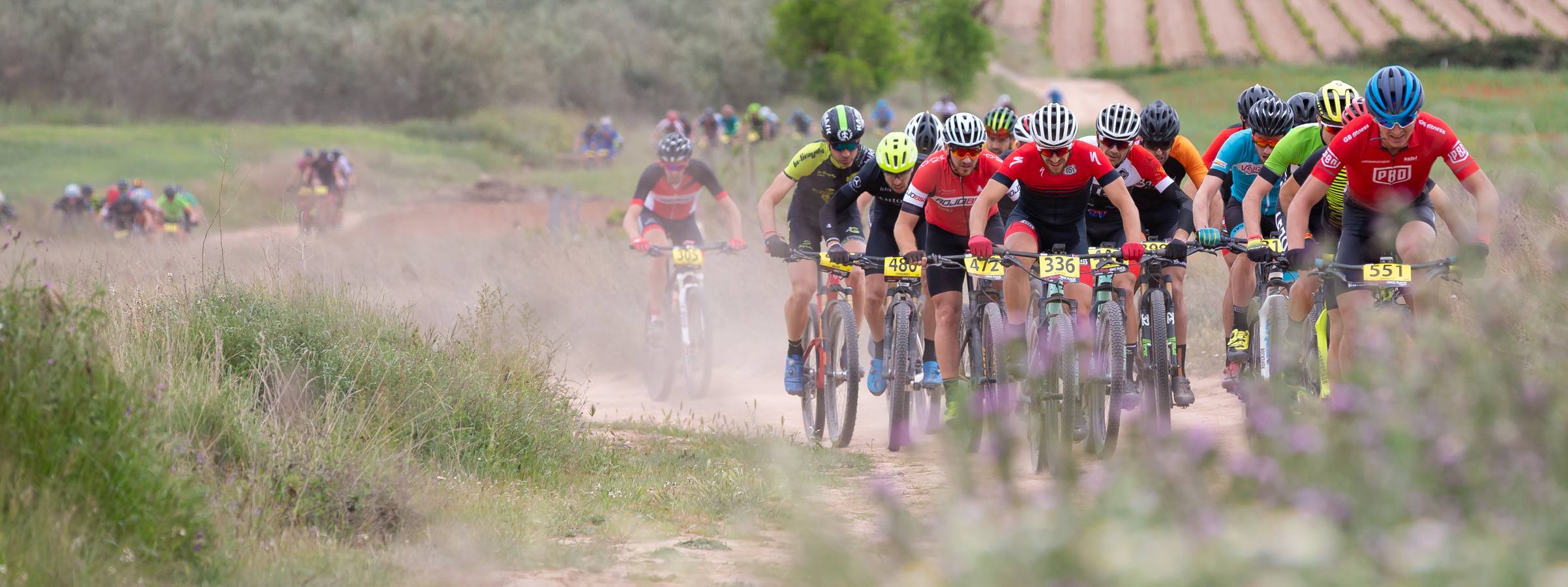 Fotos: Primera etapa de La Rioja Bike Race: La carrera