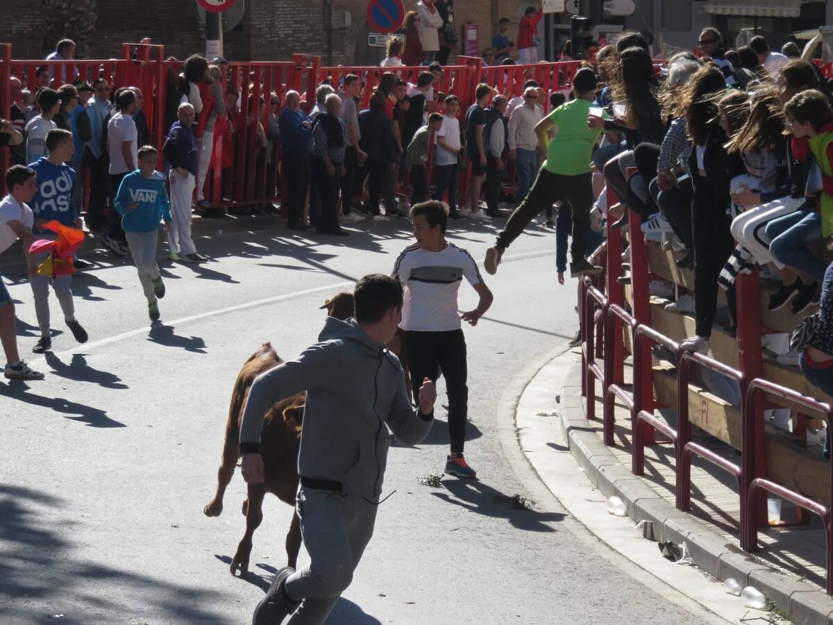 Fotos: Segundo día de las fiestas de Primavera de Alfaro