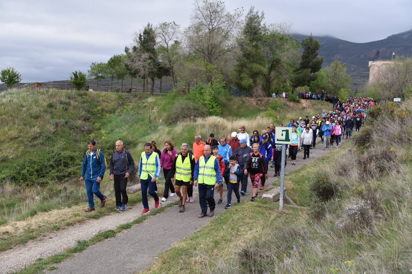 Participan más de 700 personas.