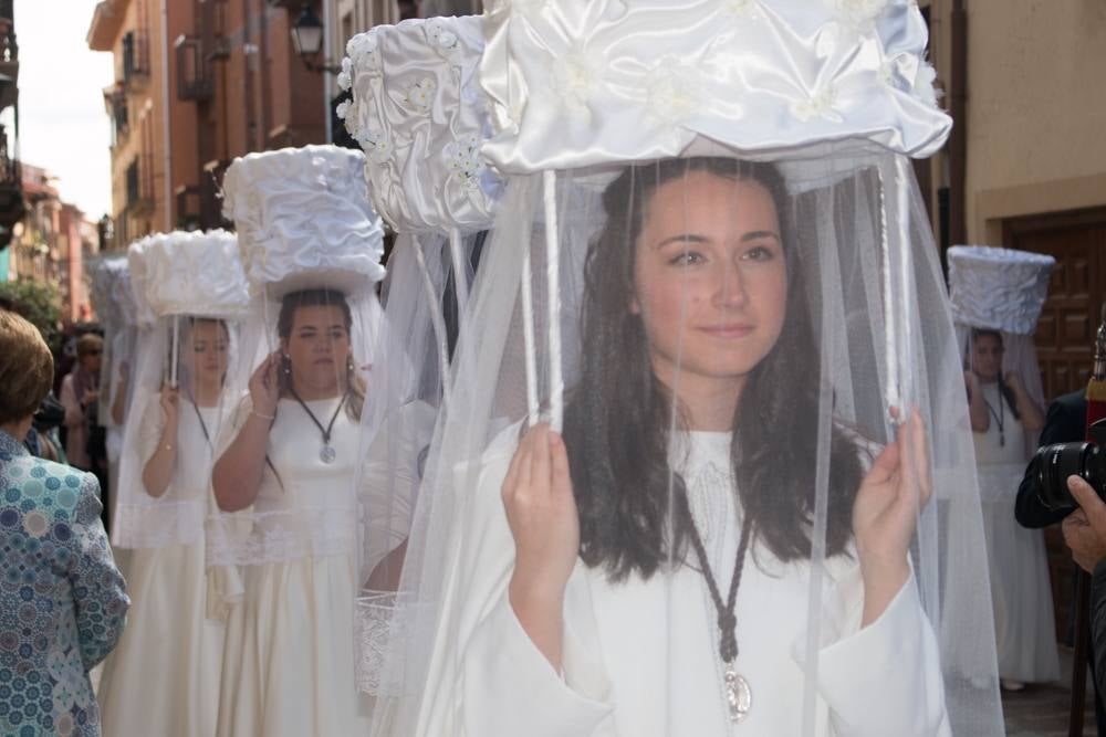 Fotos: Procesión del Pan del Santo y del Peregrino de anto Domingo