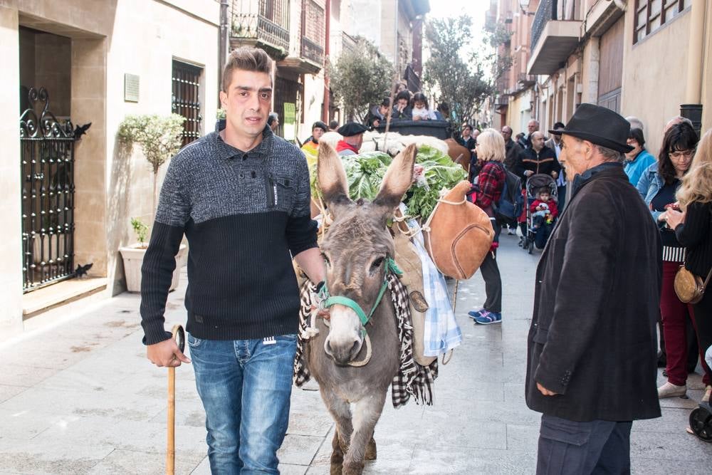 Fotos: Procesión del Pan del Santo y del Peregrino de anto Domingo