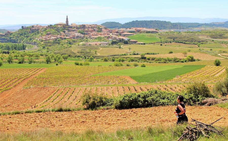 La prueba, en la que venció Gema Olave, contó con 400 participantes 