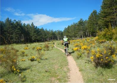 Imagen secundaria 1 - Camino de subida a Clavijo, pradera en el Corro del Cura y senda de La Leñosa