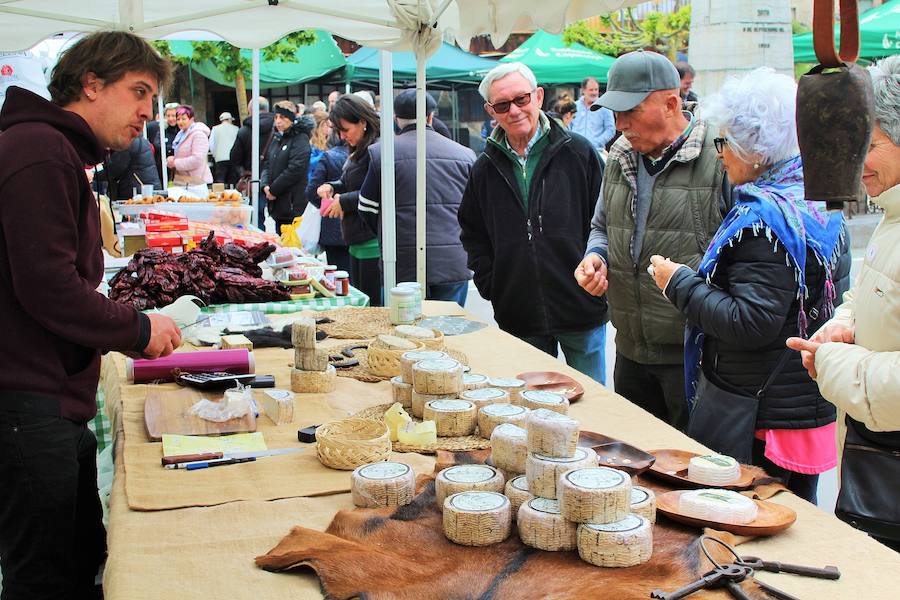 Las mejores vacas, ovejas y cabras del Camero Viejo