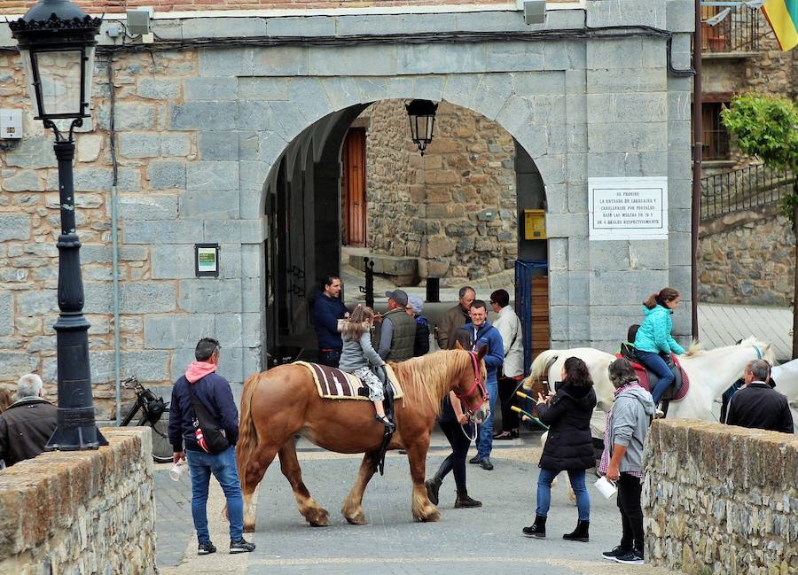 Las mejores vacas, ovejas y cabras del Camero Viejo