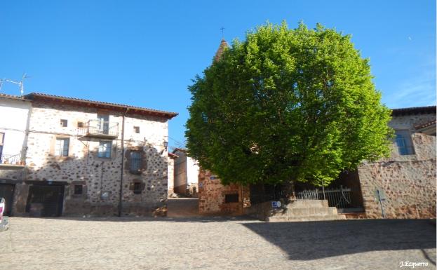 Imagen principal - El Rasillo y su olmo, vista del González Lacasa desde el camino y hayedo en Ortigosa 