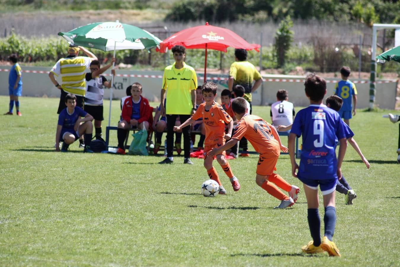 Fotos: Torneo de fútbol infantil de Nájera