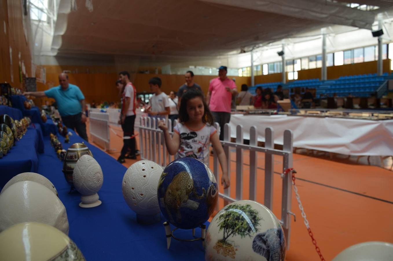 Fotos: Feria de coleccionismo Trueque en Calahorra