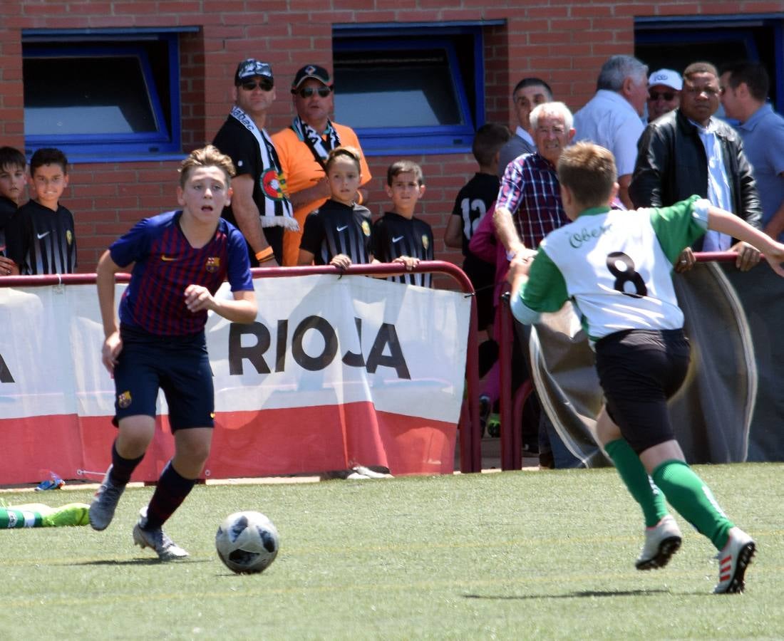 Fotos: Torneo de fútbol alevín del Valvanera