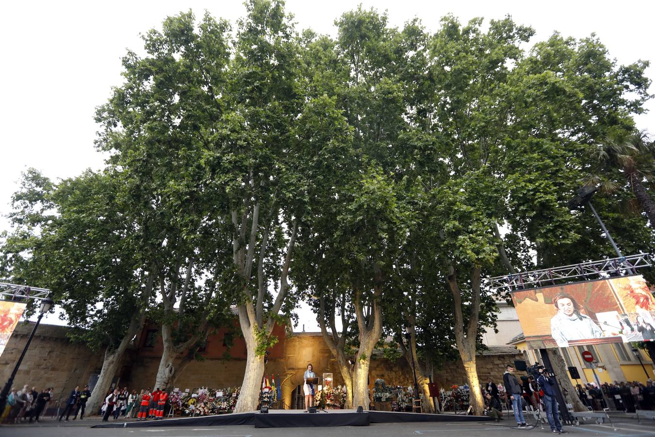 Fotos: Tradicional ofrenda de flores en El Revellín