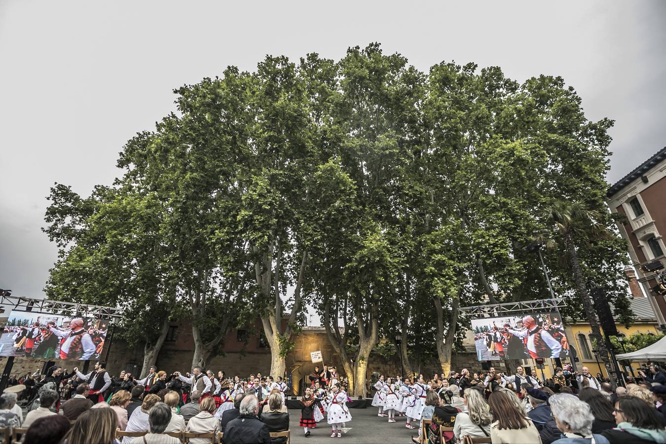 Fotos: Tradicional ofrenda de flores en El Revellín