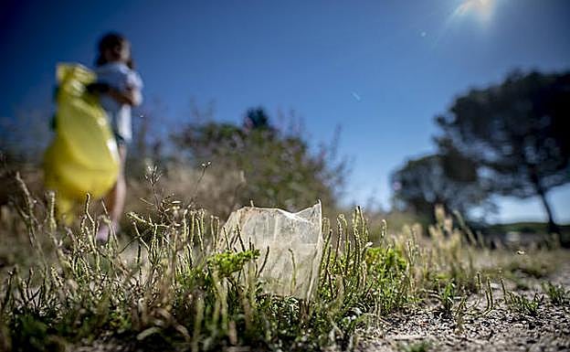 Este sábado tenemos una cita con el medio ambiente