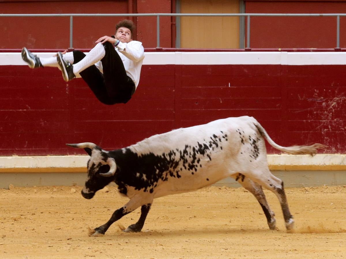 Más de 5.000 personas se dieron cita en el festejo taurino de La Ribera