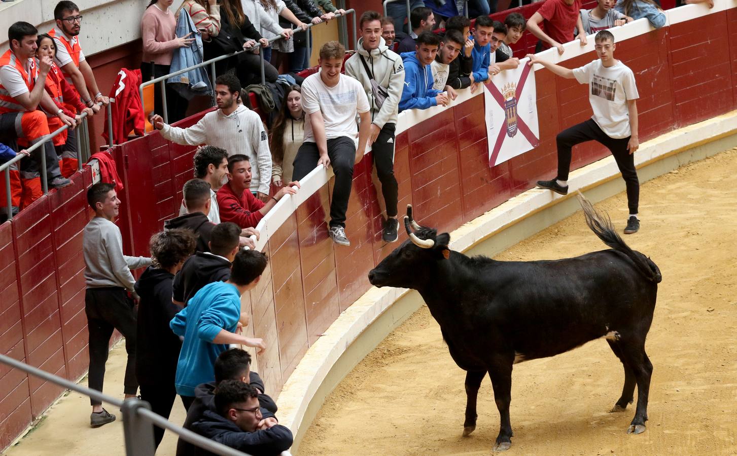 Más de 5.000 personas se dieron cita en el festejo taurino de La Ribera